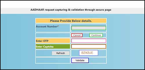 Aadhaar PNB link OTP