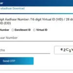eAadhaar Download